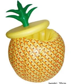 Ananas cooler
