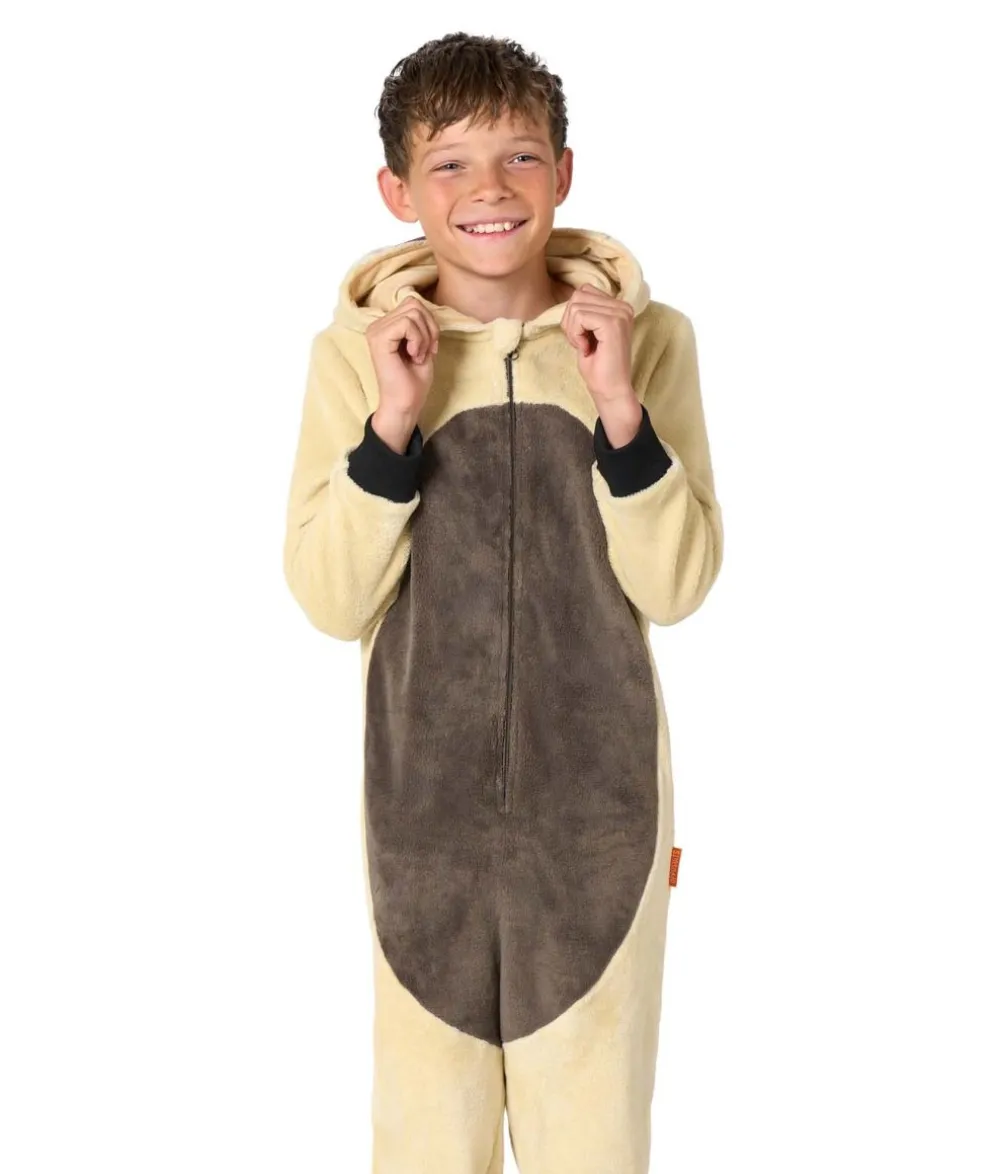 Appa kostume