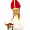 Biskophat, Mitre