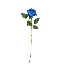 Blå rose, 50 cm
