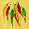 Chili Airlaid servietter