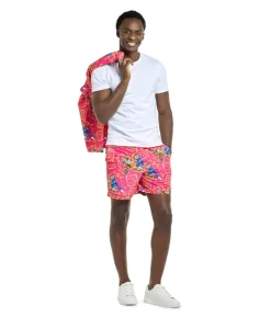 Dragon Ball Z sommersæt