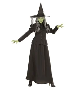 Fairytale Witch kostume