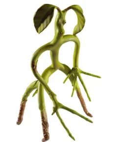 Fantastiske Skabninger Bowtruckle