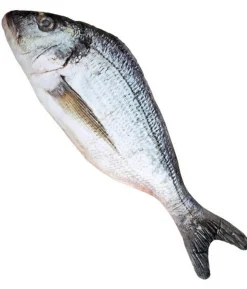Fisk