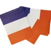 Flagguirlande Frankrig
