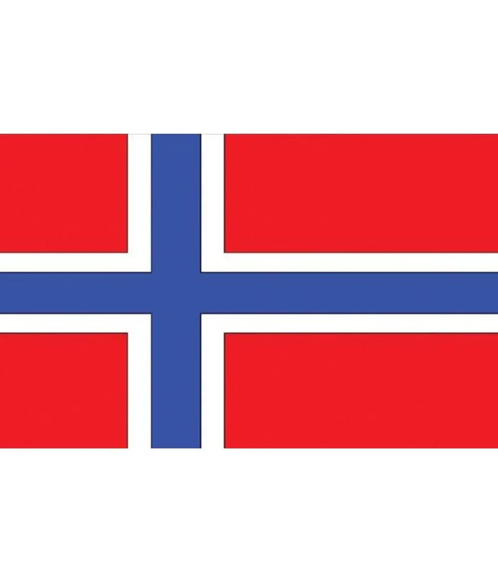 Flag Norge, 90 x 150