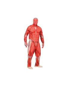Flået mand kostume