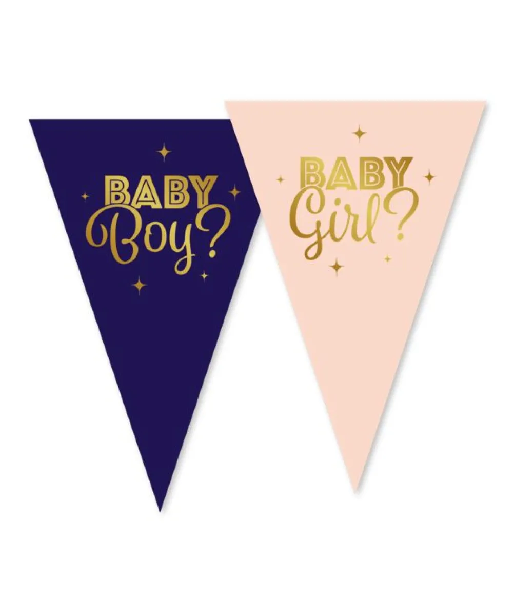 Gender reveal - Boy or Girl vimpelguirlande, 10 m