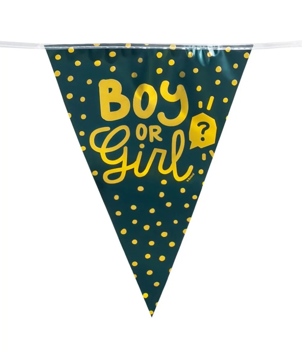 Gender reveal - Boy or Girl vimpelguirlande, 6 m