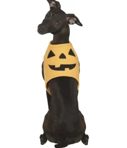 Græskar kostume til hund