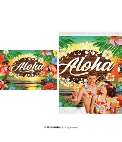 Hawaii Aloha banner
