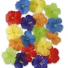 Hibiscus blomster