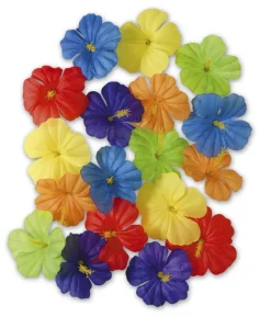 Hibiscus blomster