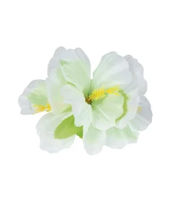 Hårblomst med klemme