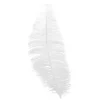 Hvide strudsefjer, 12 stk