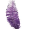 Lilla strudsefjer 30 cm, 12 stk