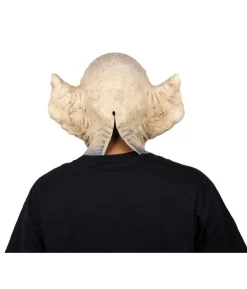 Macrotus maske