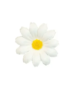 Margueritter, 20 stk