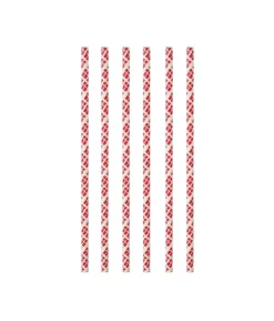 Papirsugerør flag 10 stk