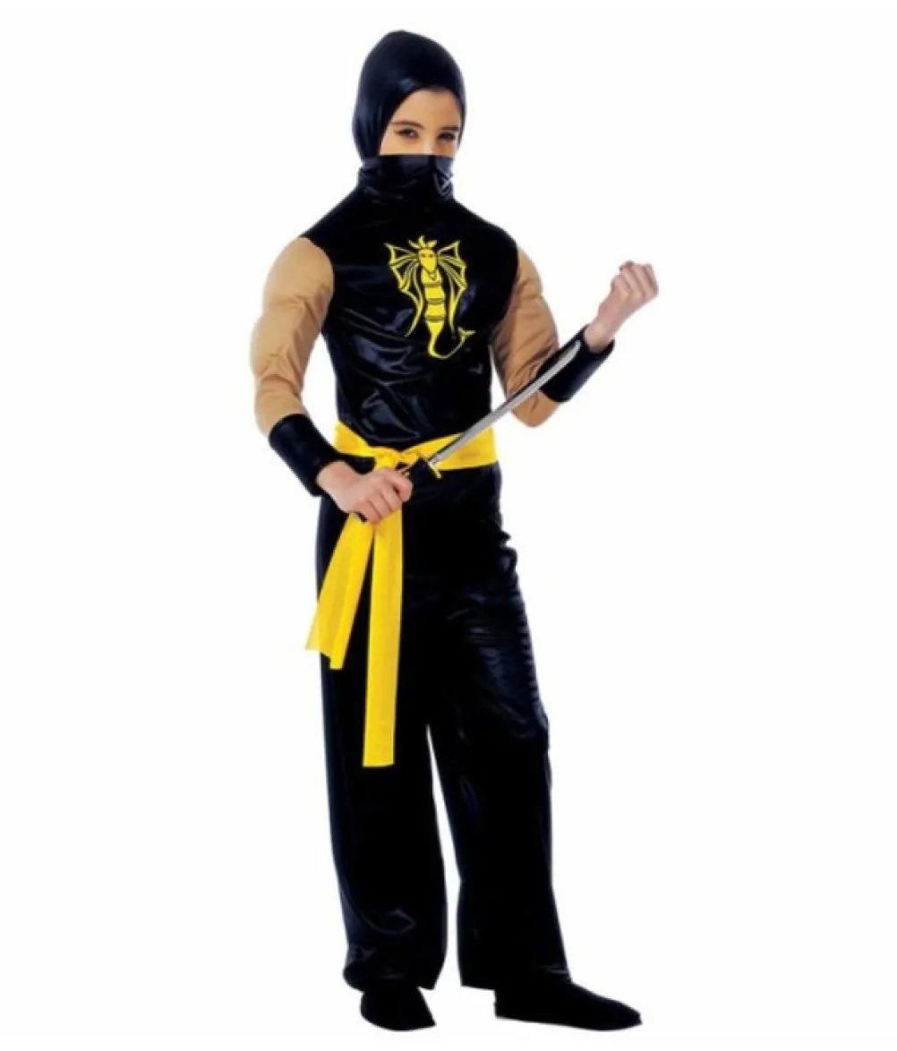 Power Ninja kostume