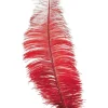 Røde strudsefjer 30 cm, 12 stk