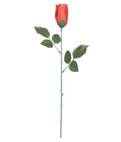 Rød rose