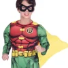 Robin kostume