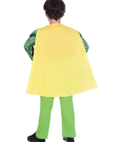 Robin kostume