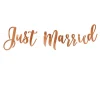 Rose gold Just Married banner