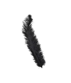 Sorte strudsefjer 60 cm, 12 stk