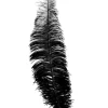 Sorte strudsefjer 35-45 cm, 12 stk
