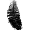 Sorte strudsefjer 30 cm, 12 stk