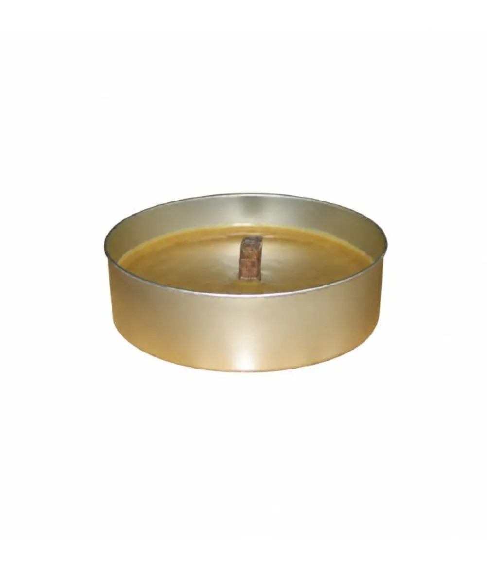 Stort haveblus, 15,5 cm