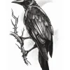 Tatovering Goth Raven